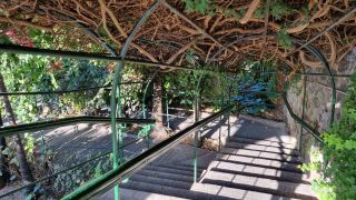2024-01-GranCan-Jardin_de_la_Marquesa-004.jpg